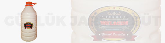 Günlük Jersey Süt